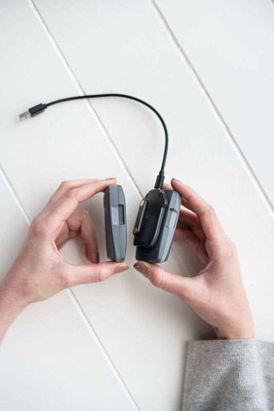 Spare batteries with charger